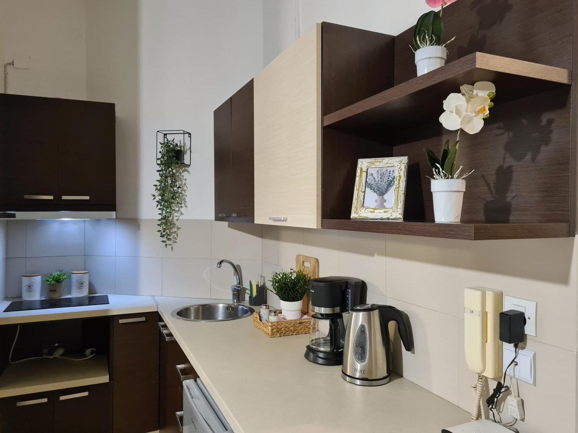 In The Heart Of The 3a Apartment *